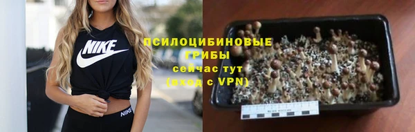 спиды Армянск