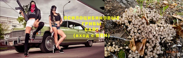 дмт Аркадак